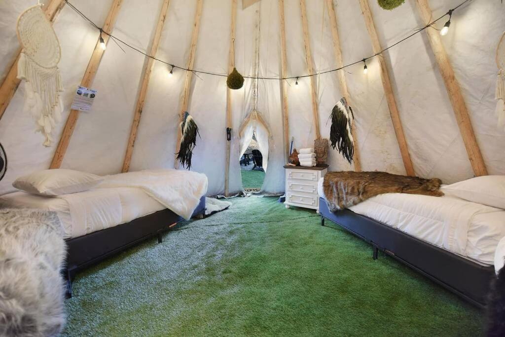 Enchanted Forest Cabin And Teepee! Lights & Laser Show! Private Hot Tub! Unique Stay! 세비어빌 외부 사진